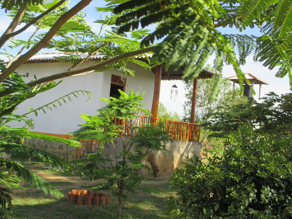 Coconut Island Villa Tangalle Exterior foto