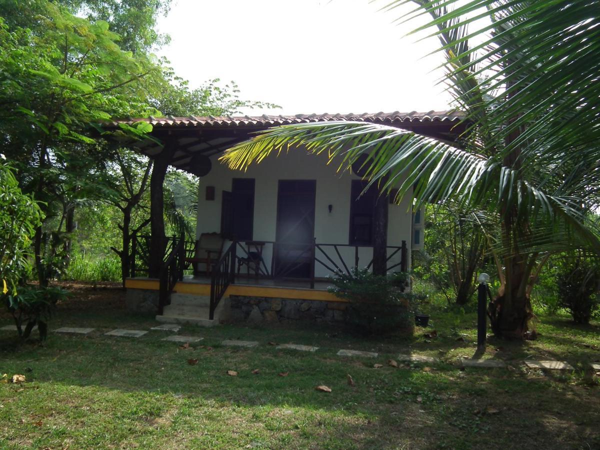 Coconut Island Villa Tangalle Exterior foto