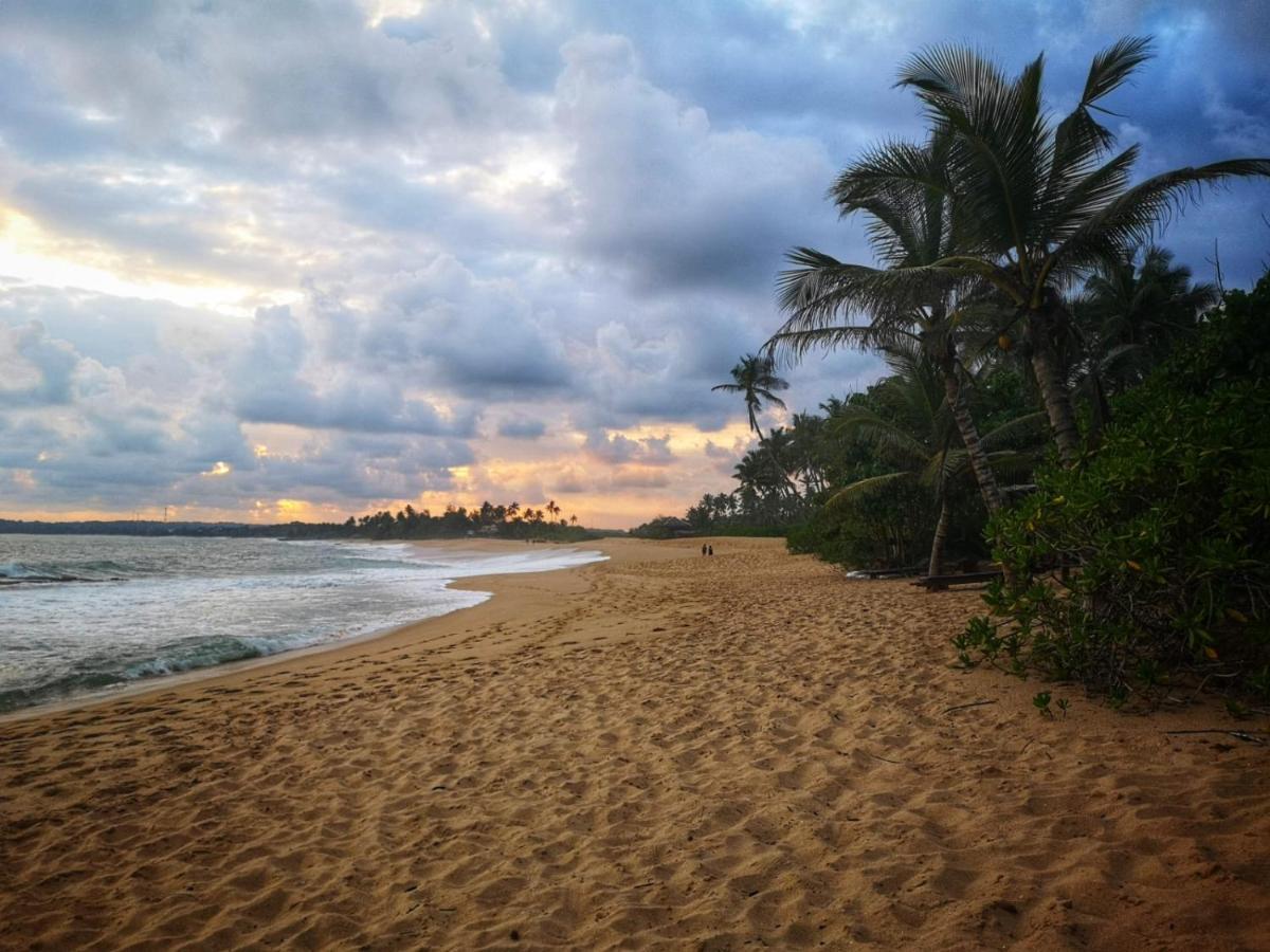 Coconut Island Villa Tangalle Exterior foto