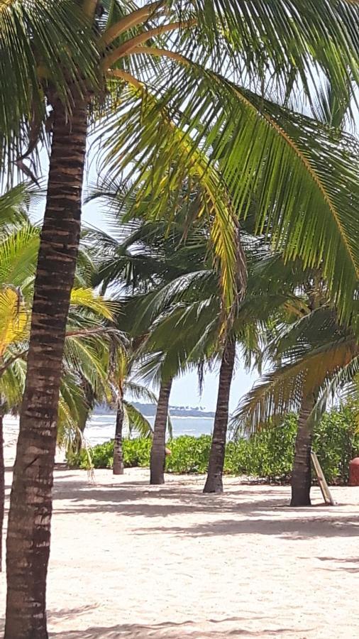 Coconut Island Villa Tangalle Exterior foto