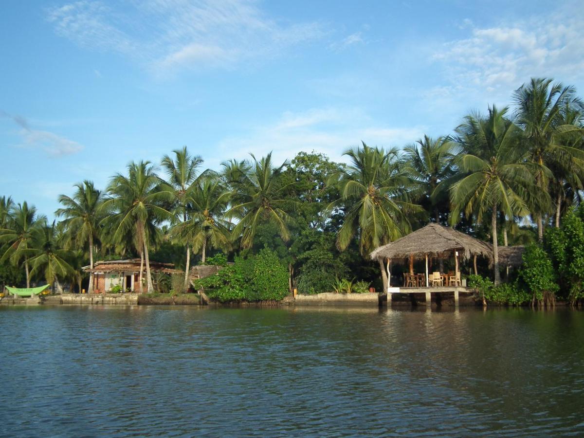Coconut Island Villa Tangalle Exterior foto